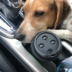 Meet your Posher, Teresa